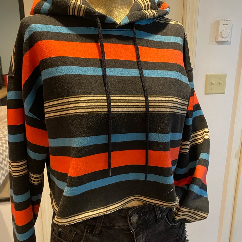 Urban Outfitters Cropped Hoodie